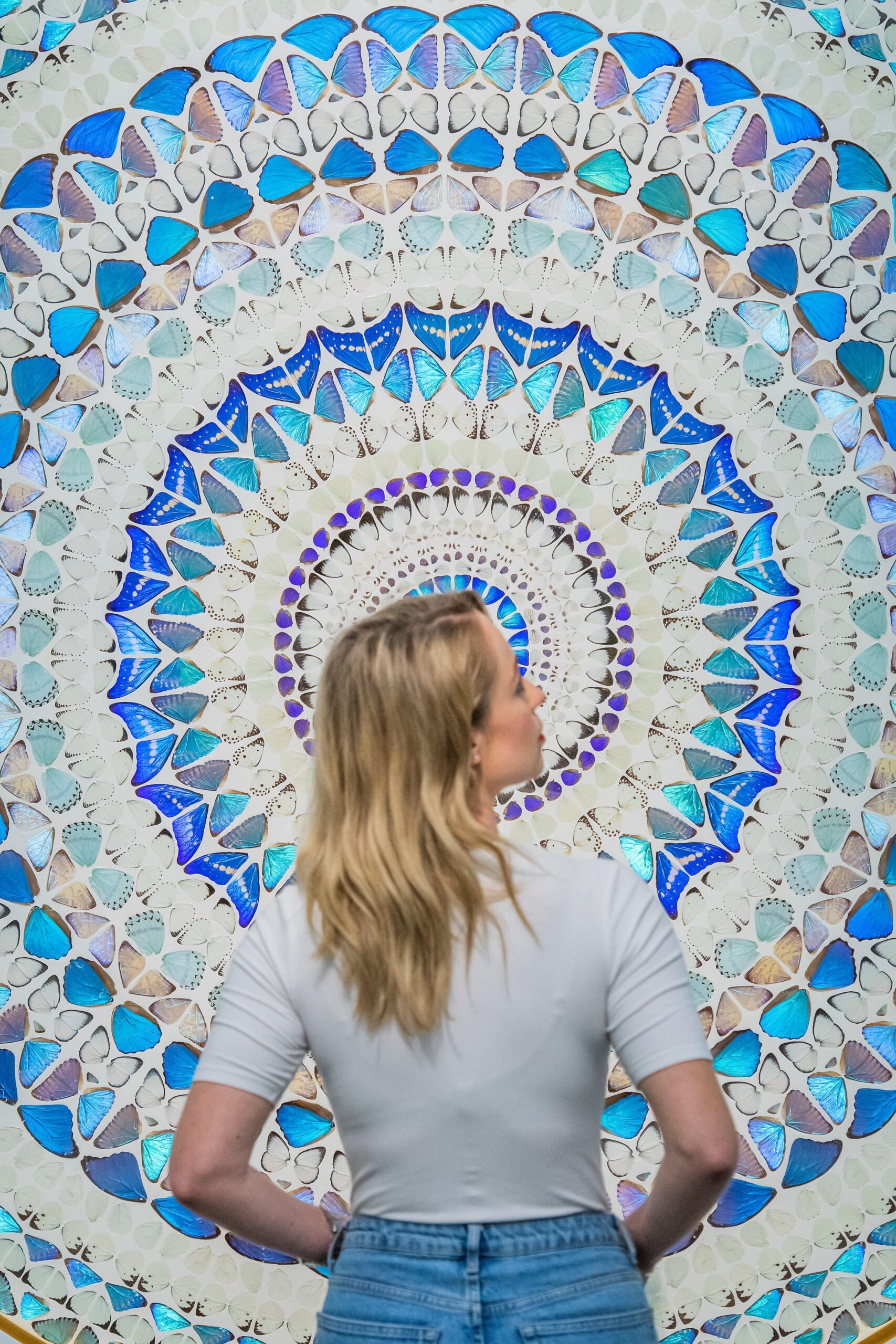 Wings of Wonder - Image 7