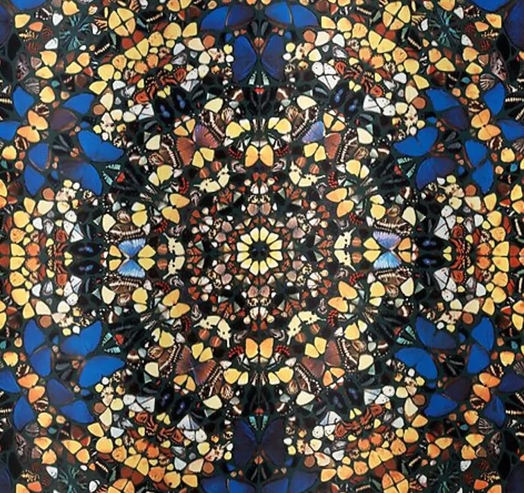 Wings of Wonder - Image 8